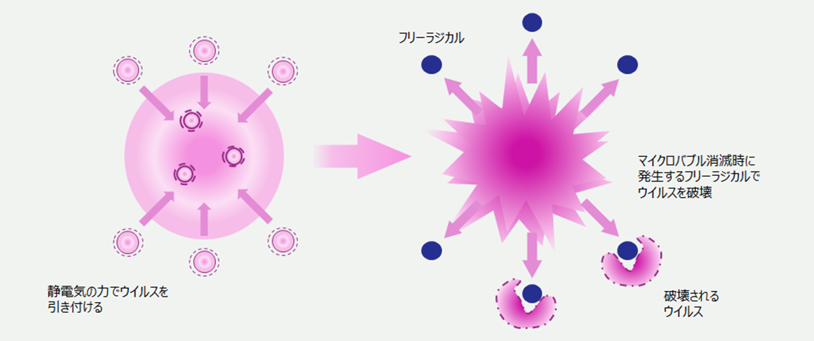 菌・ウイルス対策
